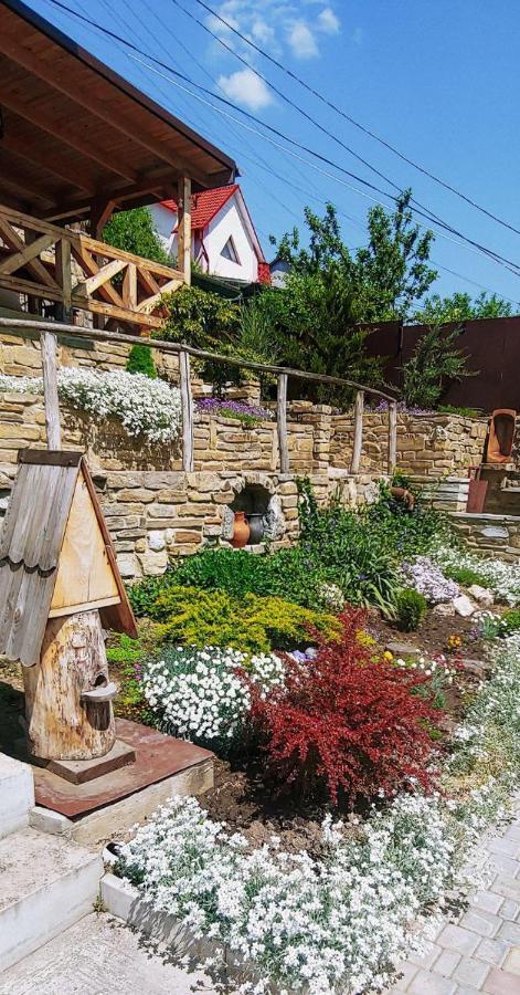 Вулик Будиночок З Двома Окремими Номерами Kamianets-Podilskyi Exterior foto